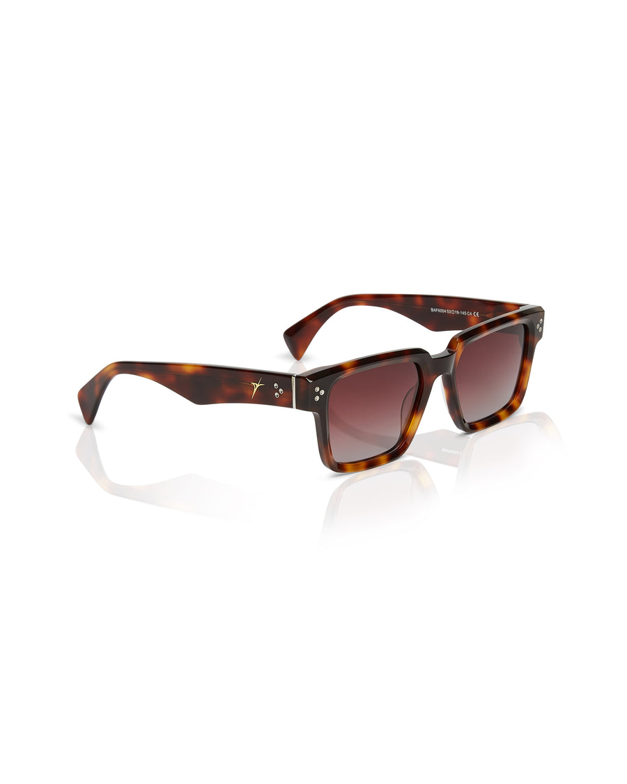 Aurien – Tortoiseshell detail