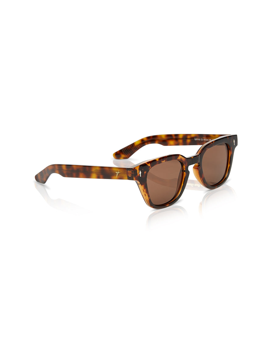 Noema – Tortoiseshell detail