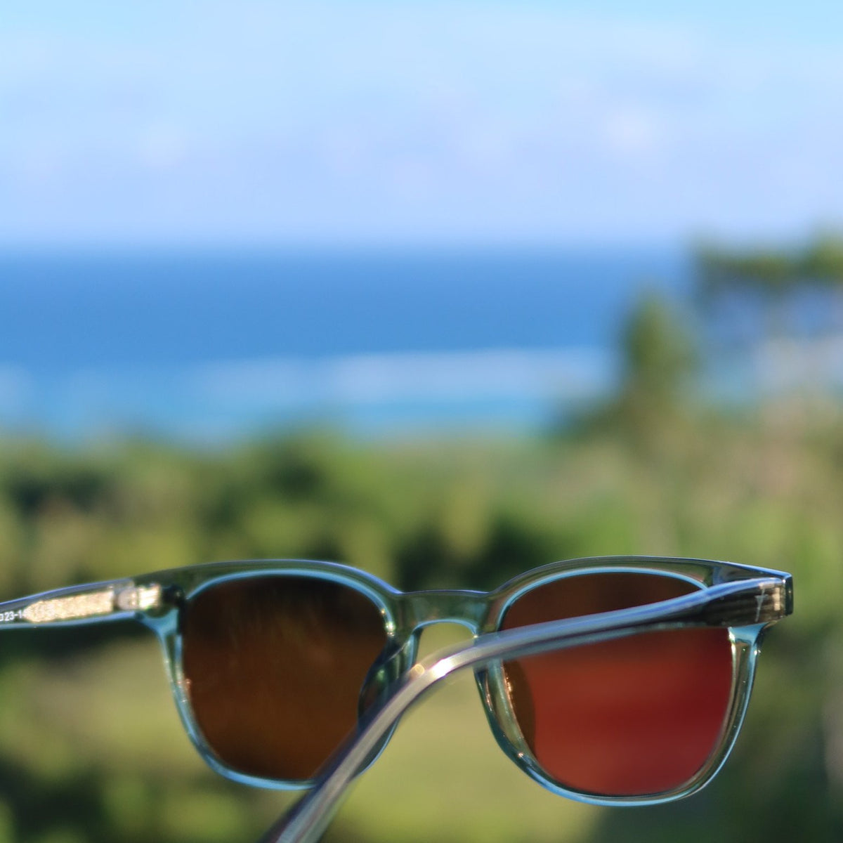 Lucid Green/Brown sunglasses held up against a sea view