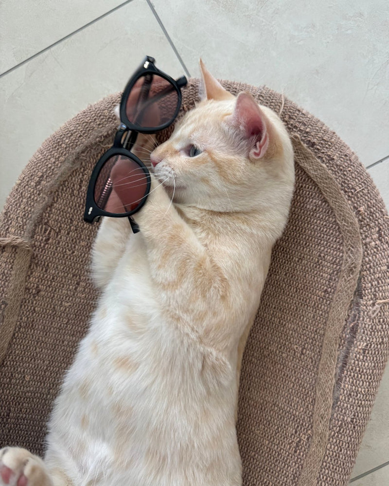 Noxie sunglasses styled for the weekend