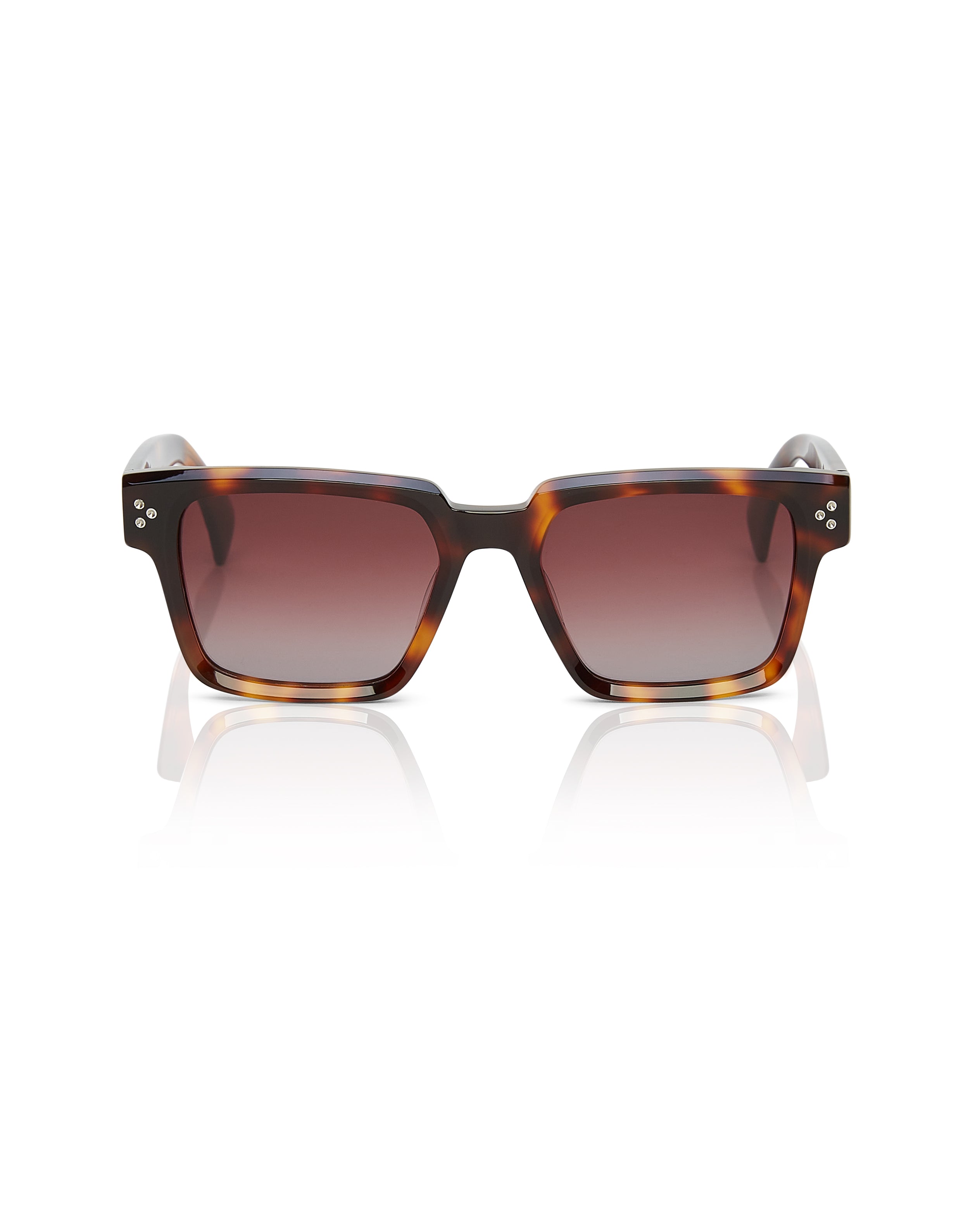 Aurien Tortoiseshell sunglasses