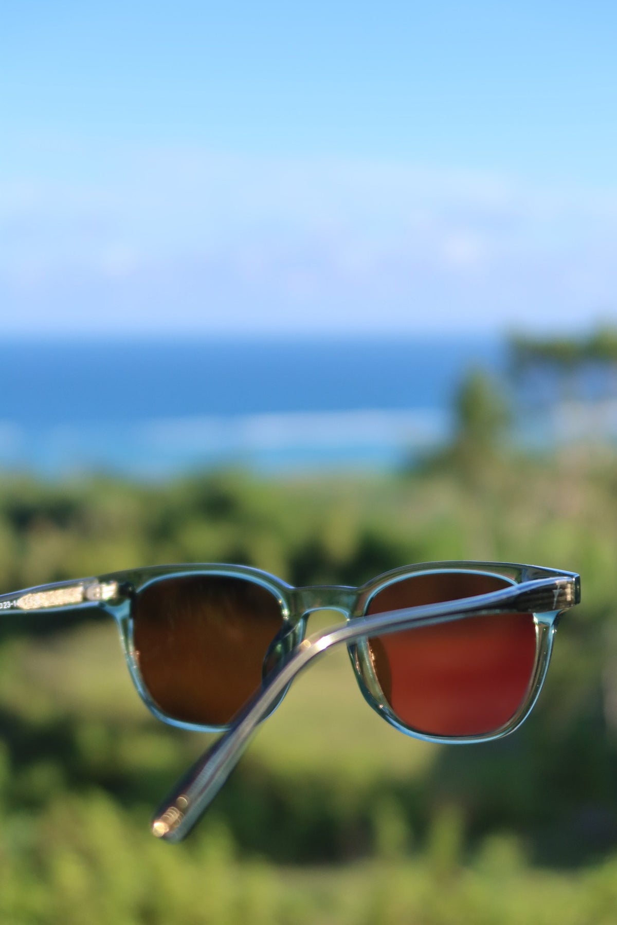 Lucid Green/Brown sunglasses held up against a sea view